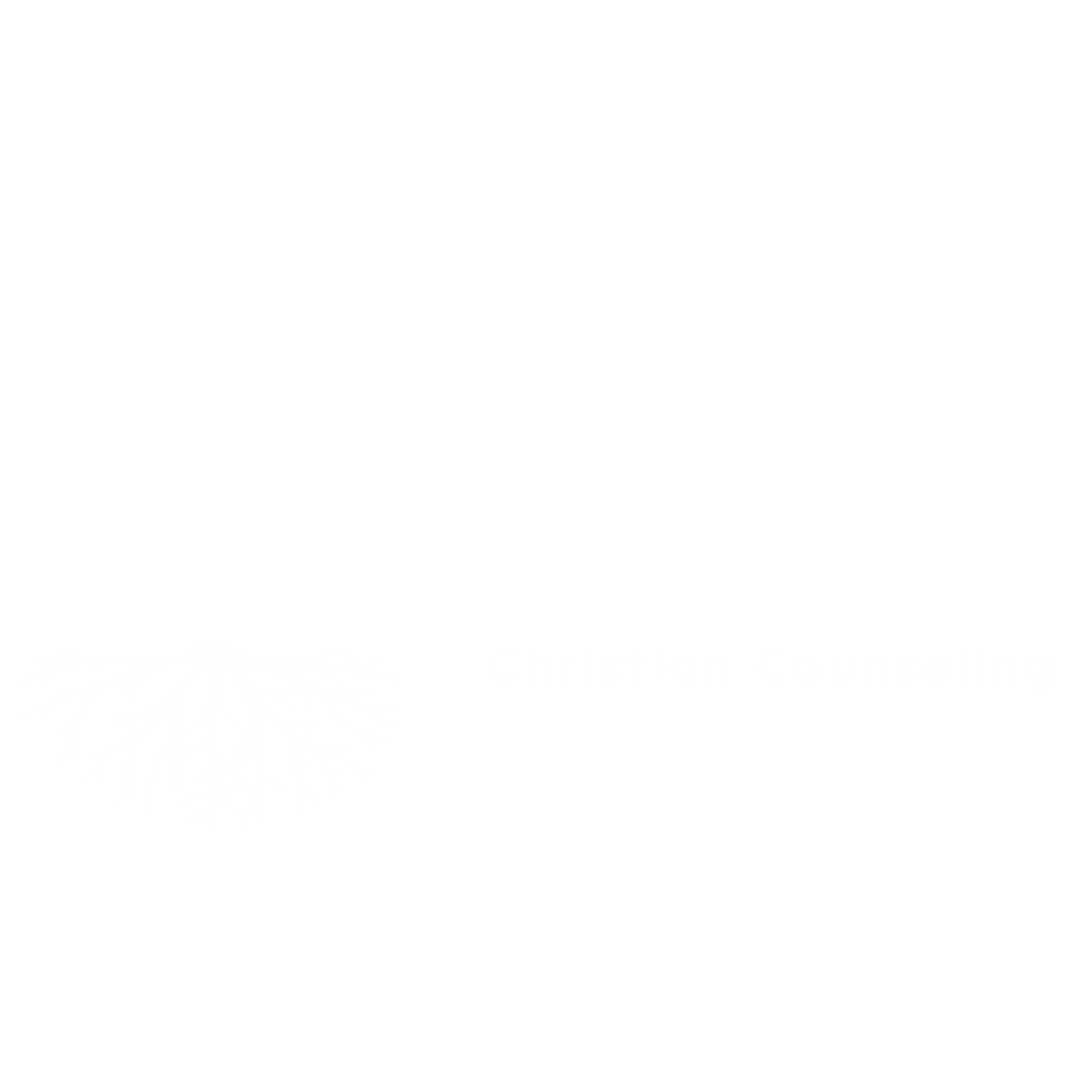 White Steadfast Logo
